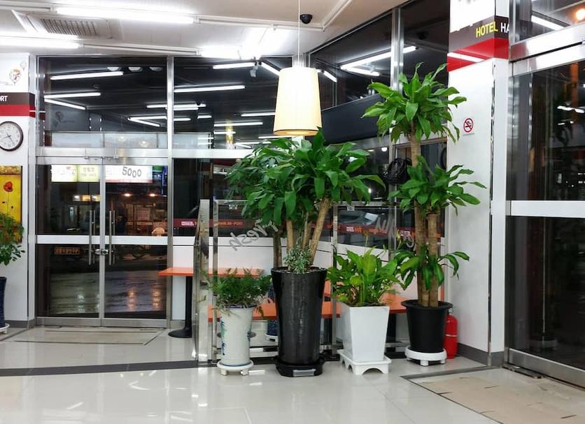 Lobby Zdjęcie