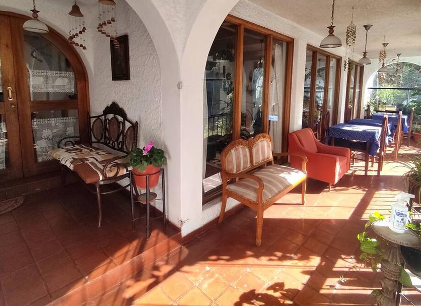 Patio Zdjęcie