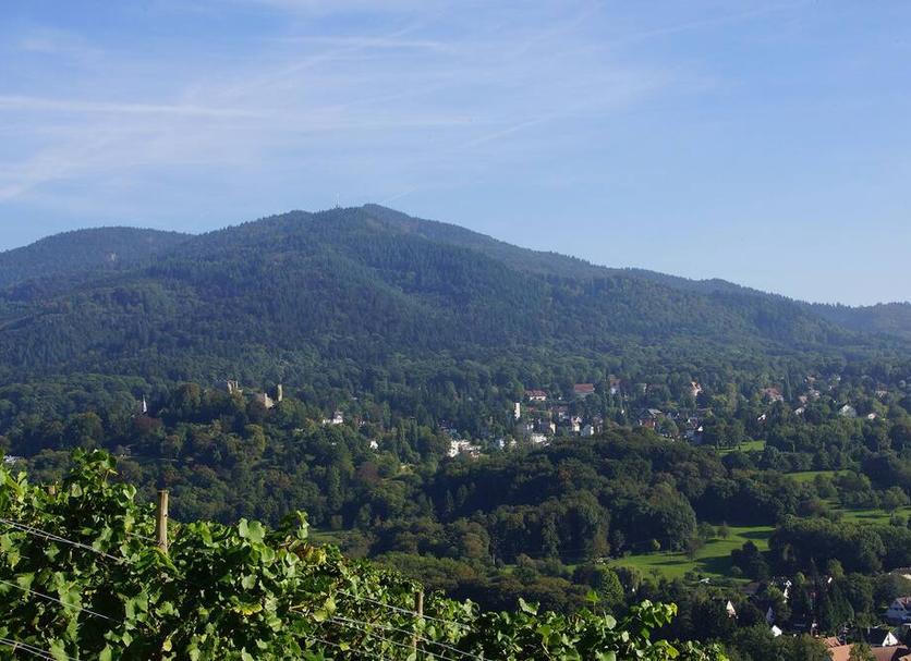 Widok na zewnątrz Zdjęcie