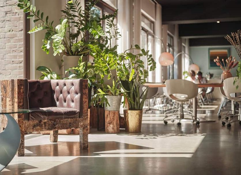 Lobby Zdjęcie