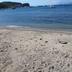 Plaża