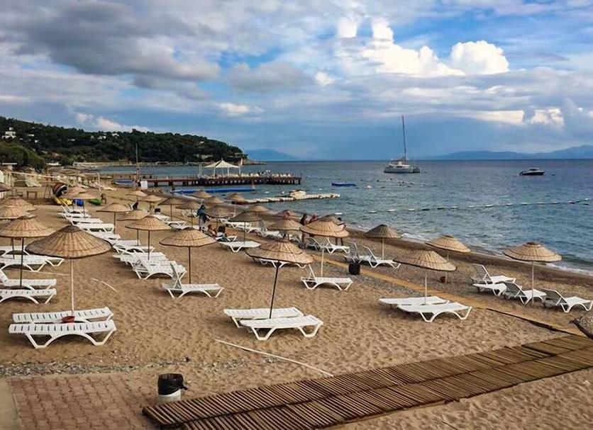 Plaża Zdjęcie