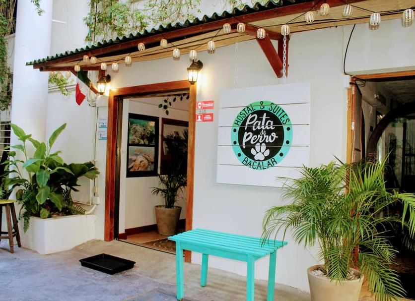 Patio Zdjęcie