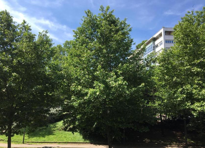Widok na zewnątrz Zdjęcie
