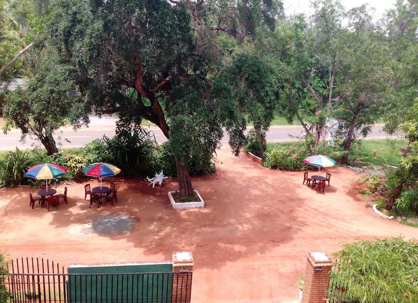 Patio Zdjęcie