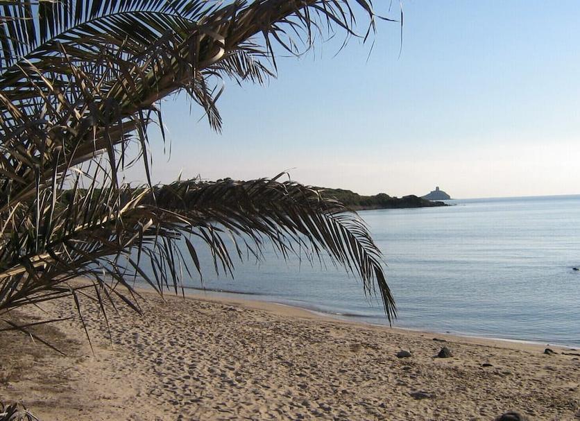 Plaża Zdjęcie