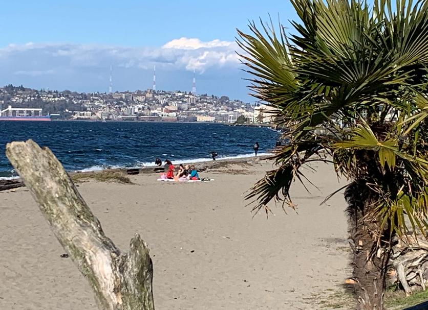 Plaża Zdjęcie