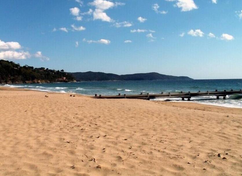Plaża Zdjęcie