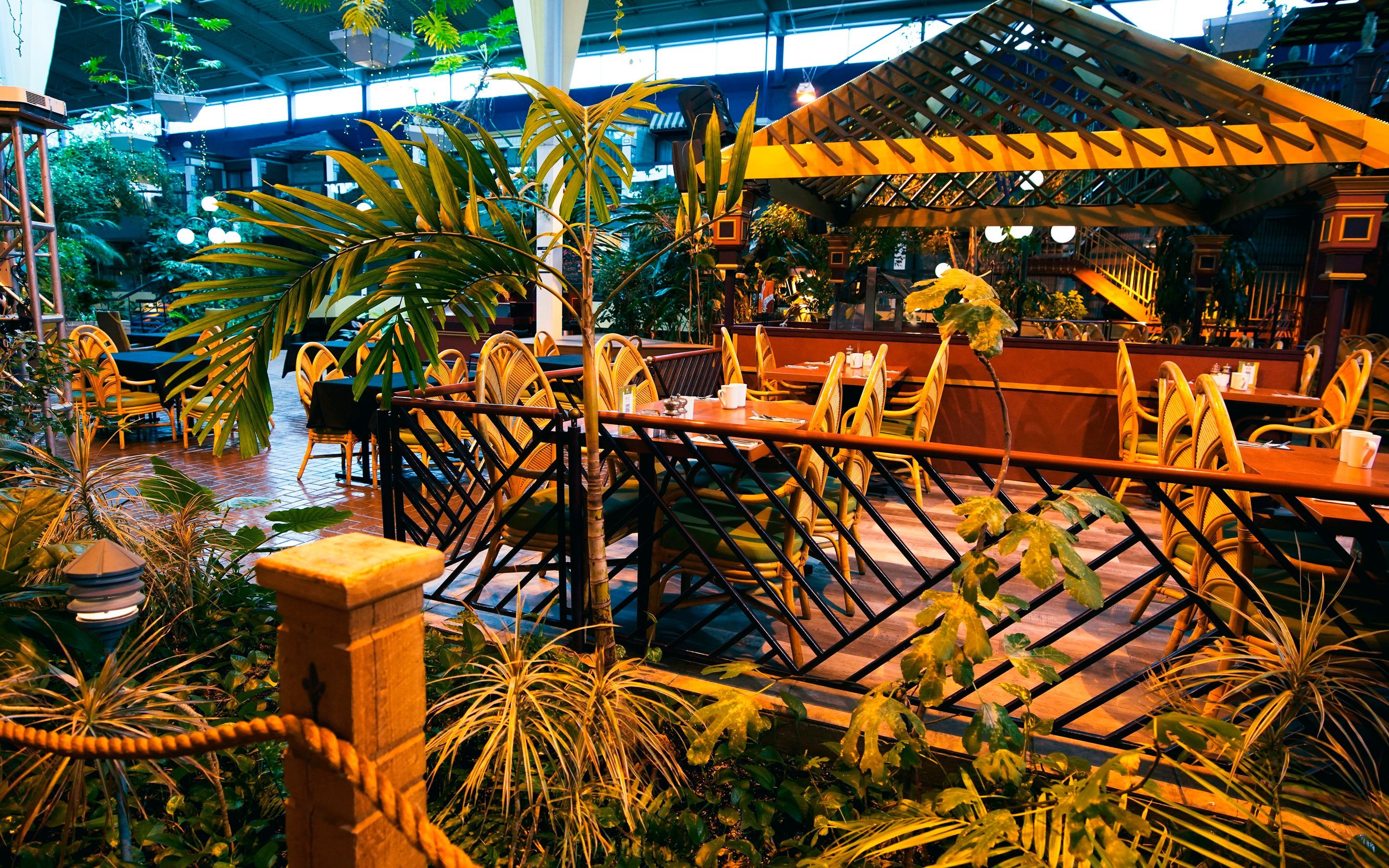 Restauracja