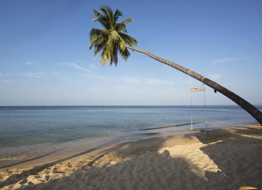 Plaża Zdjęcie