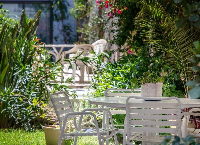 Patio Zdjęcie