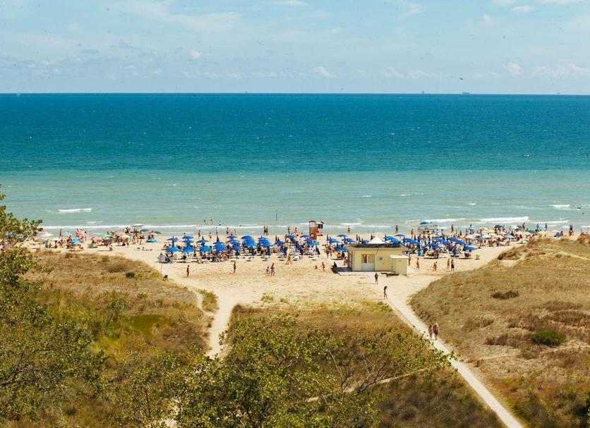 Plaża Zdjęcie