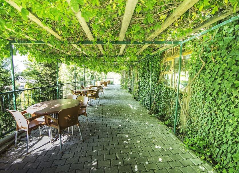 Patio Zdjęcie