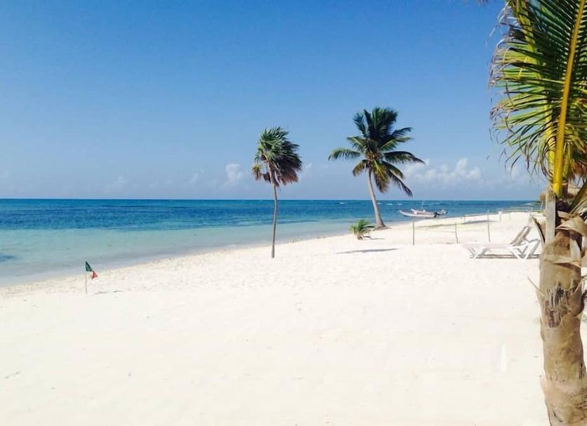Plaża Zdjęcie