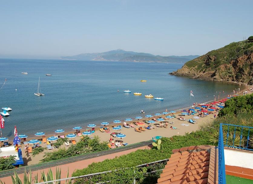 Plaża Zdjęcie