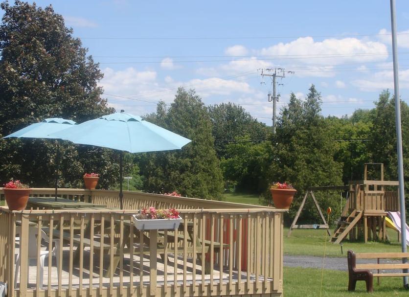 Patio Zdjęcie