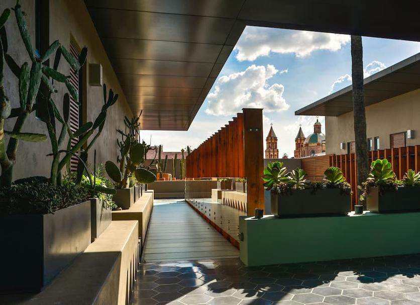 Patio Zdjęcie