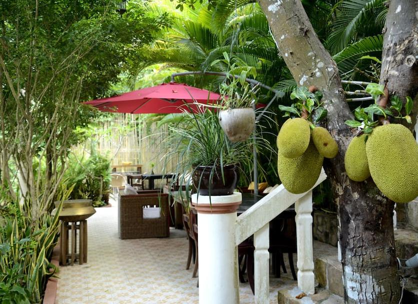 Patio Zdjęcie