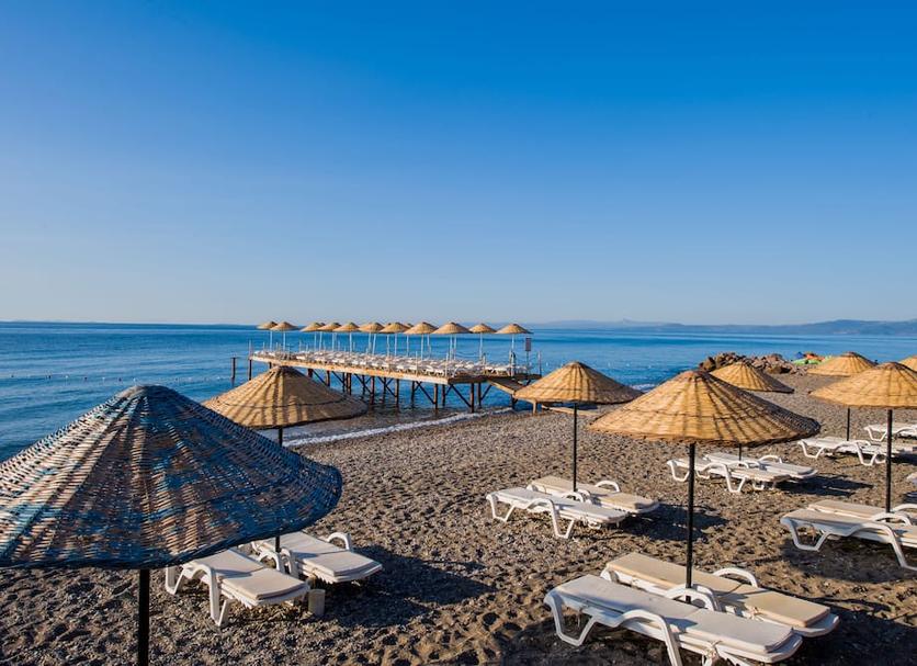 Plaża Zdjęcie