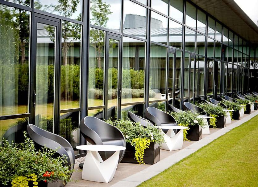 Patio Zdjęcie