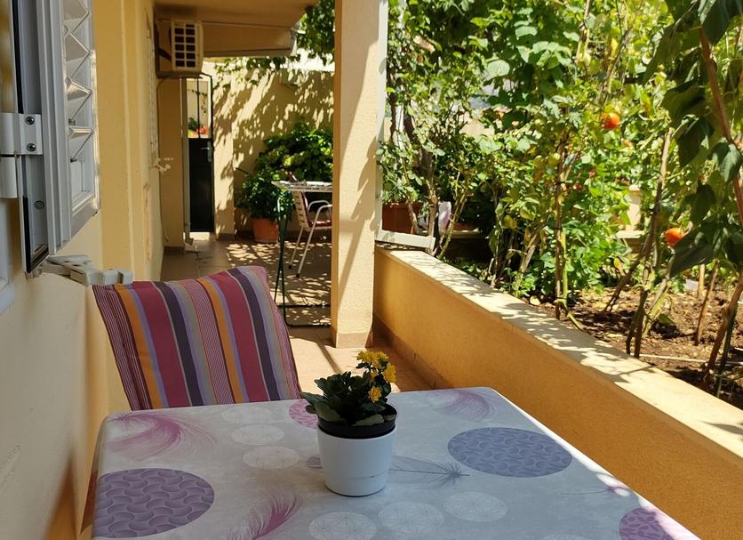Patio Zdjęcie
