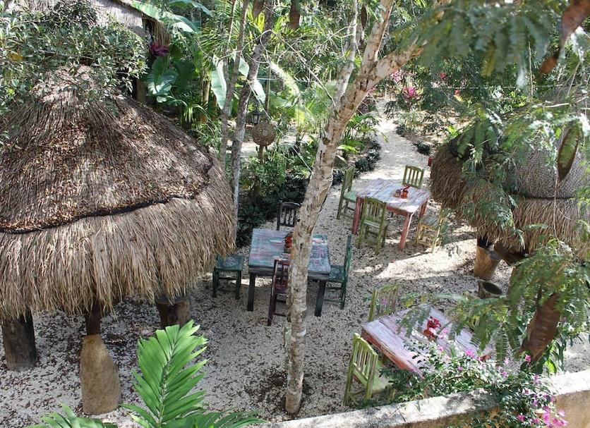 Patio Zdjęcie