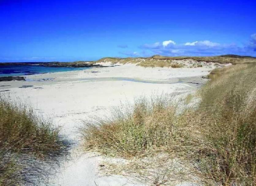 Plaża Zdjęcie