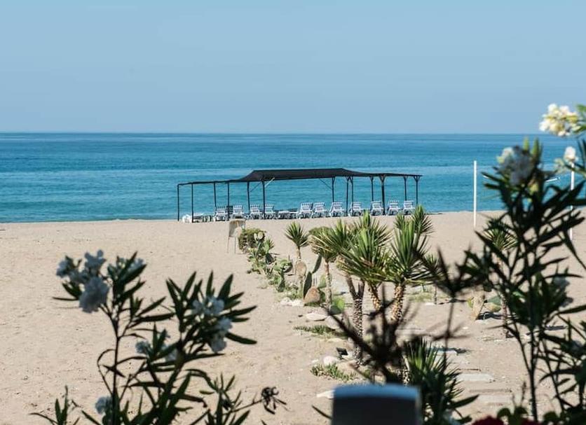 Plaża Zdjęcie