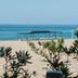 Plaża