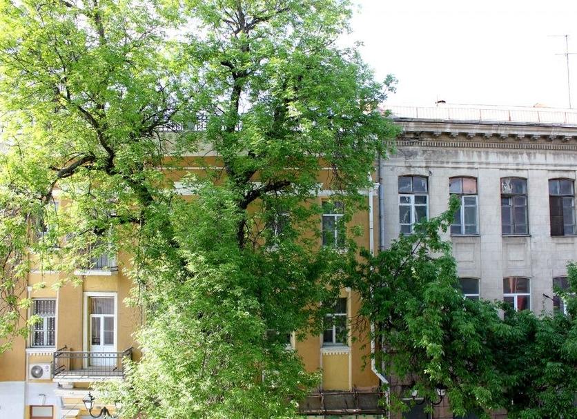 inna Zdjęcie