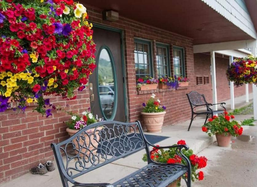 Patio Zdjęcie