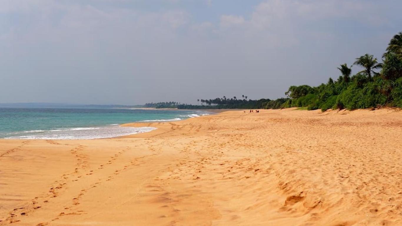 All View Resort