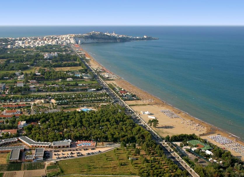 inna Zdjęcie
