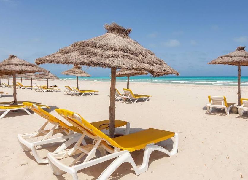 Plaża Zdjęcie