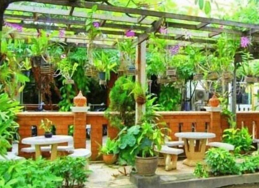 Patio Zdjęcie