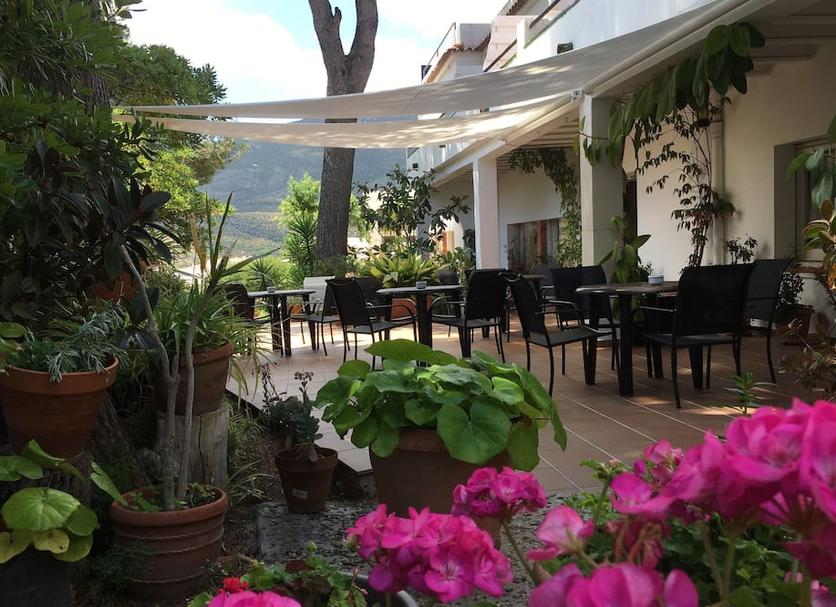 Patio Zdjęcie