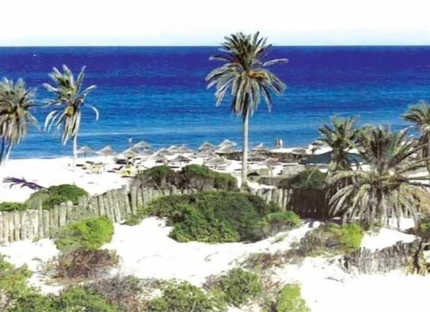 Plaża Zdjęcie
