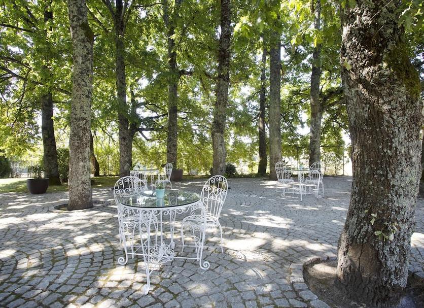 Patio Zdjęcie