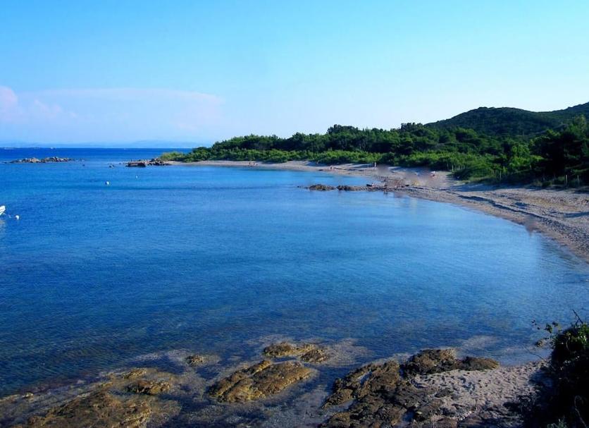 Plaża Zdjęcie