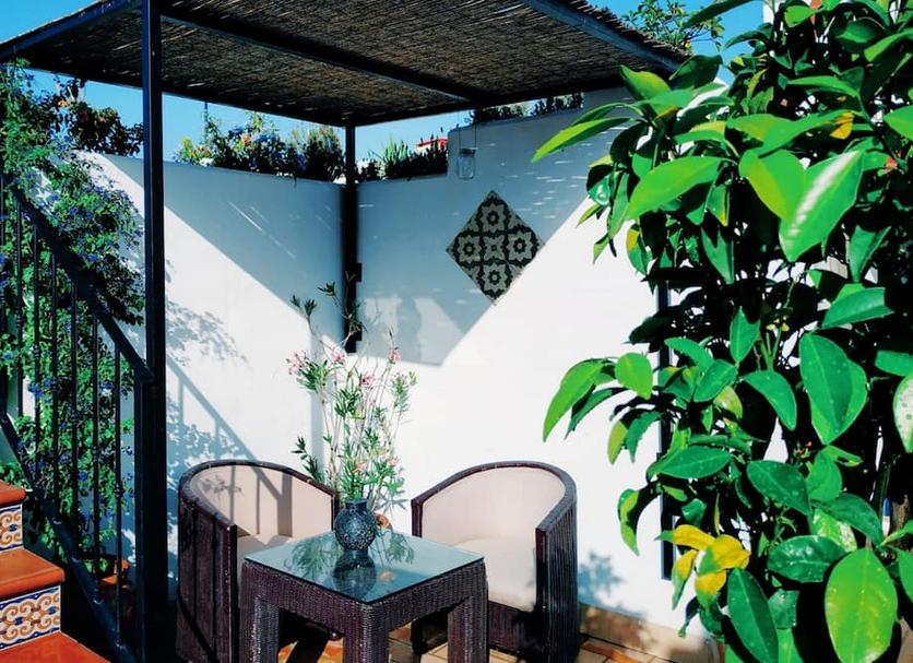 Patio Zdjęcie
