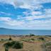 Plaża