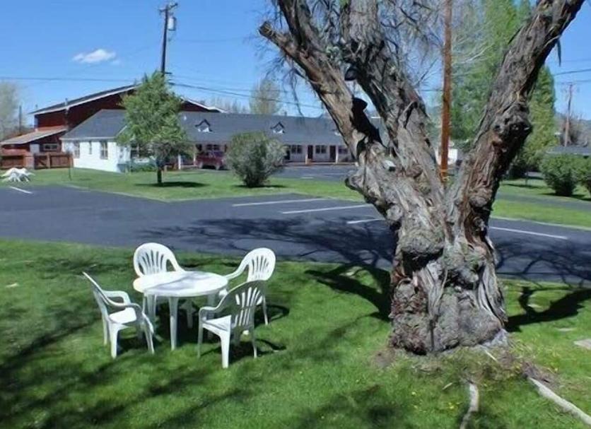 Patio Zdjęcie