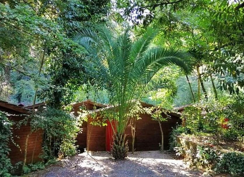 Widok na zewnątrz Zdjęcie