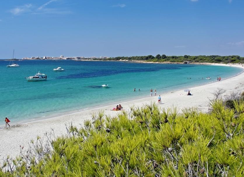 Plaża Zdjęcie