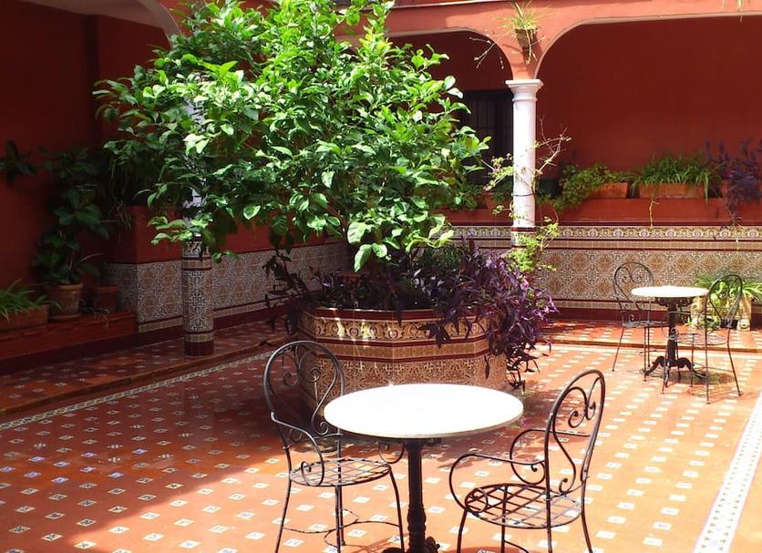 Patio Zdjęcie