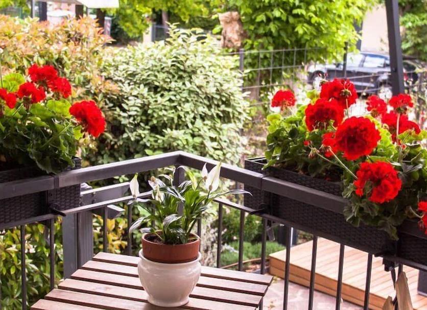 Balkon Zdjęcie