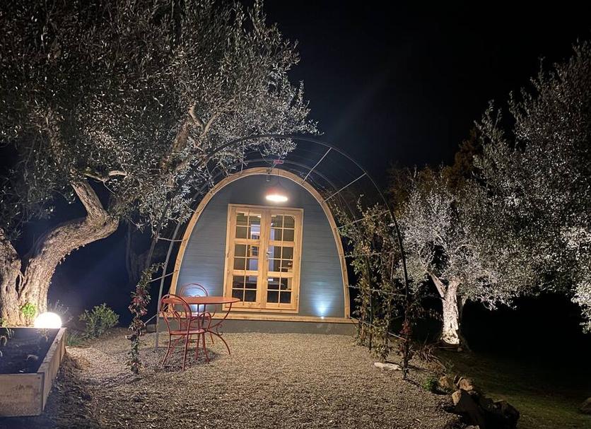 Patio Zdjęcie
