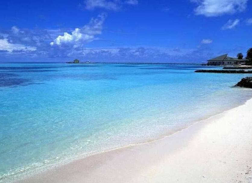 Plaża Zdjęcie