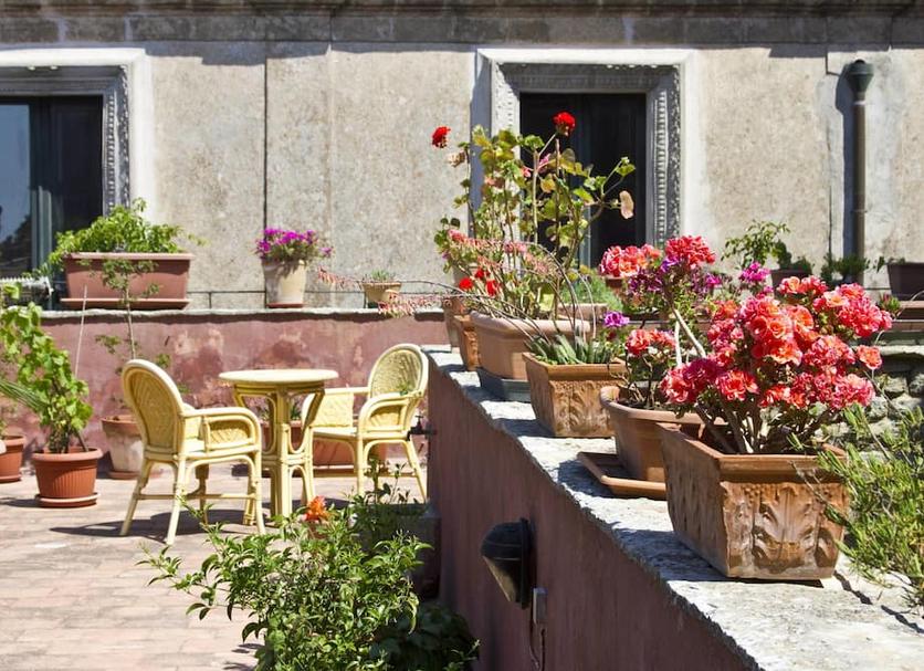 Patio Zdjęcie