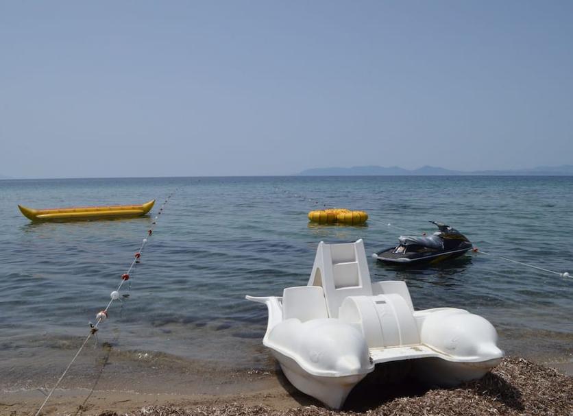 Plaża Zdjęcie